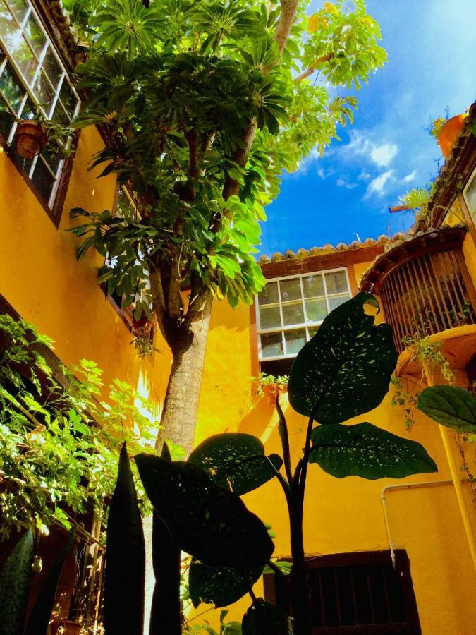شقة سانتا كروث ذي لا بال  في Casa Alves, Ultimo Tercio S. XVI المظهر الخارجي الصورة